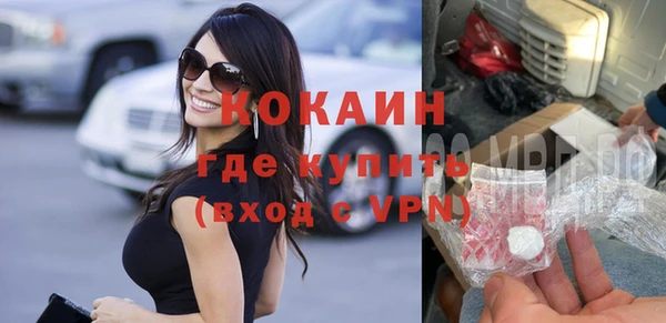 прущие грибы Богородицк