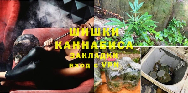 прущие грибы Богородицк