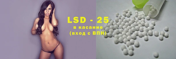прущие грибы Богородицк