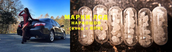 прущие грибы Богородицк