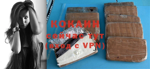 прущие грибы Богородицк
