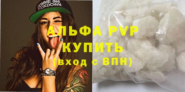 прущие грибы Богородицк