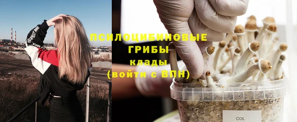 амф Богородск