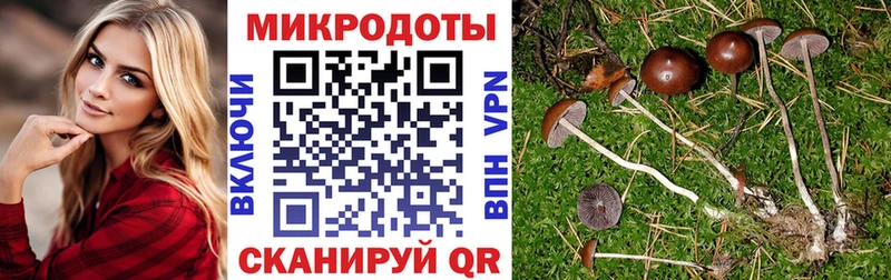 Галлюциногенные грибы GOLDEN TEACHER  Княгинино 